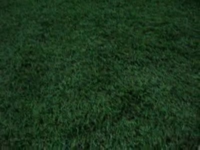 Lomba Cheers Futsal 2011